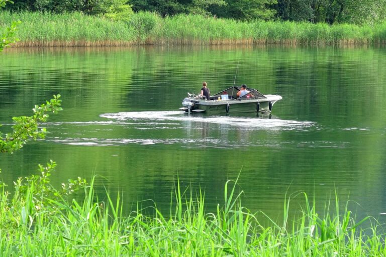 Europarcs Ossiacher See - Bild 16 Europarcs Ossiacher See - Bild 16