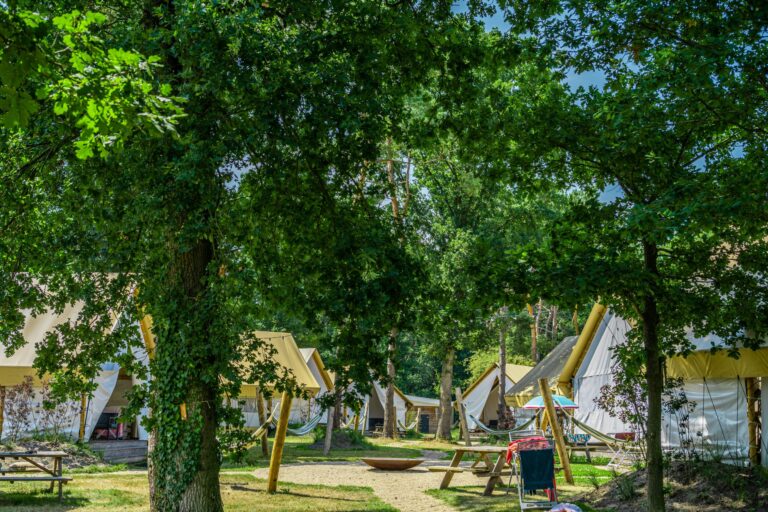 Europarcs Reestervallei - Bild 19 Europarcs Reestervallei - Bild 19