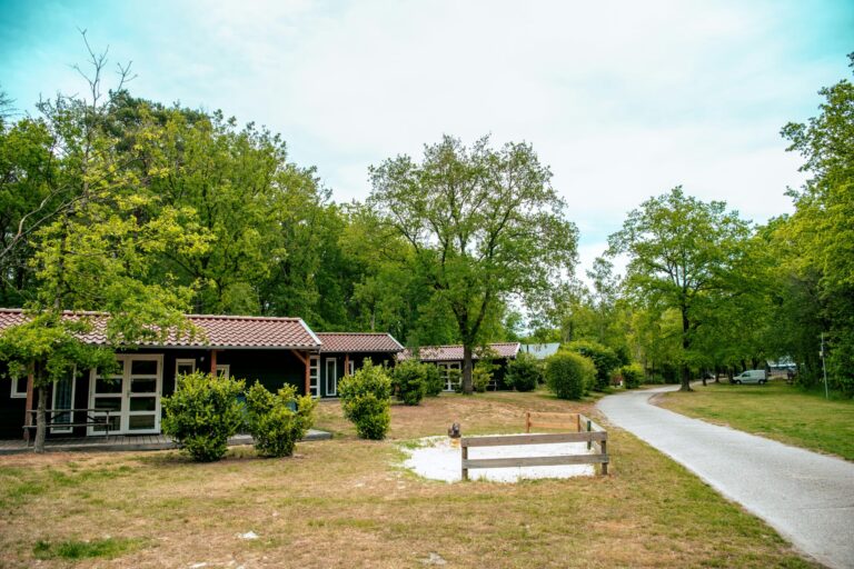 Europarcs Ruinen - Bild 15