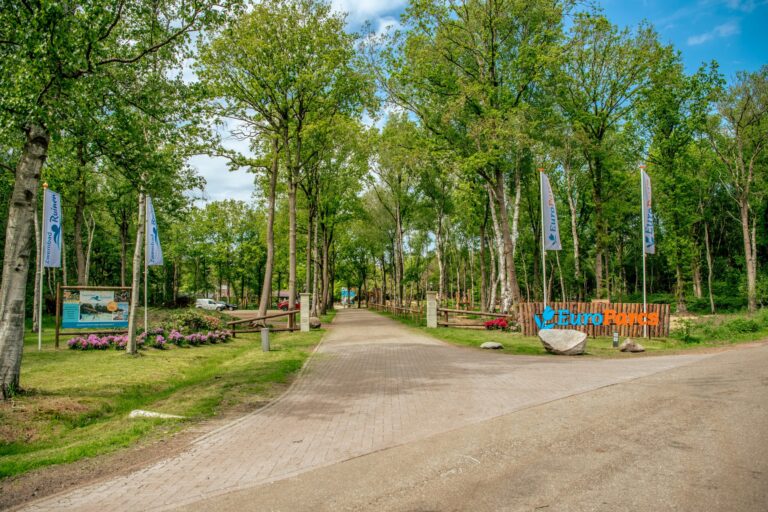 Europarcs Ruinen - Bild 17