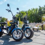 Europarcs Texel - Bild 9