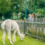 Europarcs Zuiderzee - Bild 13 Europarcs Zuiderzee - Bild 13