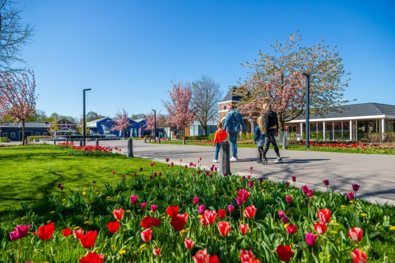 Europarcs Zuiderzee - Bild 8 Europarcs Zuiderzee - Bild 8