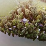 Falkensteiner Camping Lake Blaguš - Bild 2