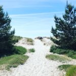 Falsterbo Camping Resort - Bild 5