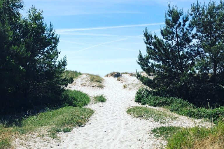 Falsterbo Camping Resort - Bild 5