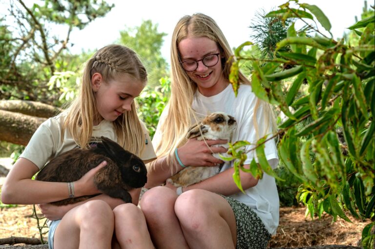 Familie Camping Nymindegab - Bild 12 Familie Camping Nymindegab - Bild 12
