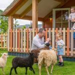 Familie Resort Molenwaard - Bild 16