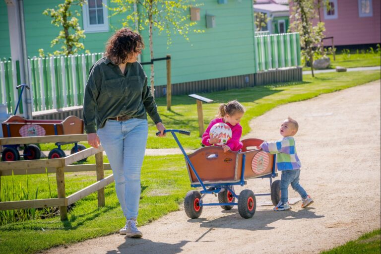 Familie Resort Molenwaard - Bild 3