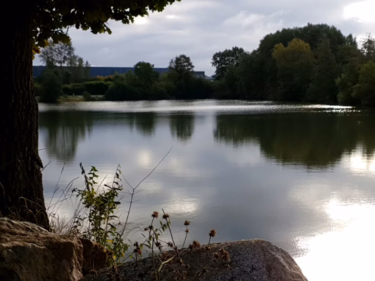 Familien Campingplatz Forellensee Seeblick 768x576
