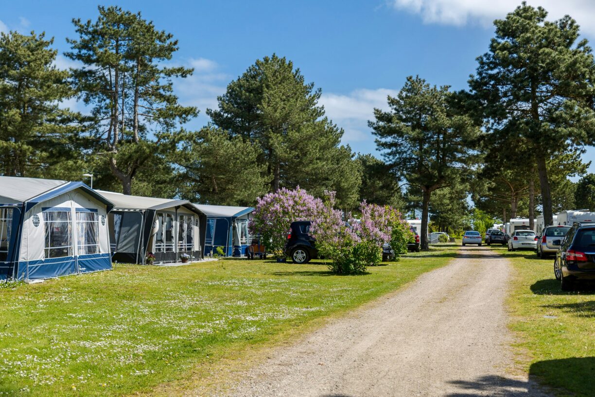 Feddet Strand Resort - Bild 7 Feddet Strand Resort - Bild 7