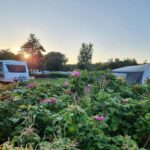 First Camp Ajstrup Strand - Aarhus - Bild 3