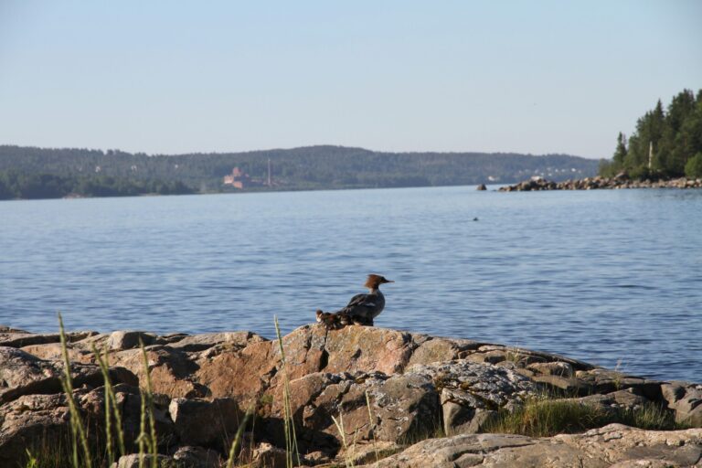 First Camp Fläsian - Sundsvall - Bild 4