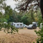 First Camp Göteborg - Lilleby - Bild 3 First Camp Göteborg - Lilleby - Bild 3