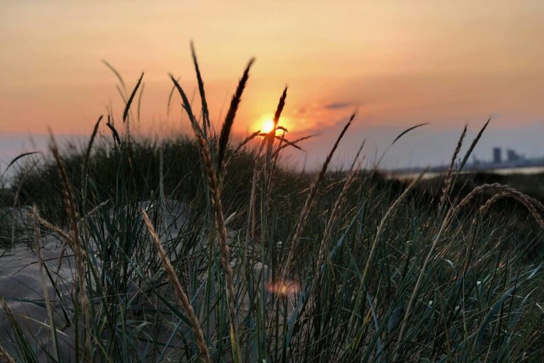 First Camp Hagön-halmstad - Bild 6 First Camp Hagön-halmstad - Bild 6