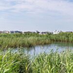 First Camp Lakolk Strand-rømø - Bild 16 First Camp Lakolk Strand-rømø - Bild 16