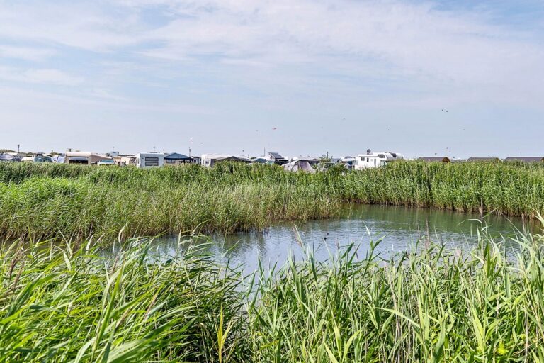 First Camp Lakolk Strand-rømø - Bild 16 First Camp Lakolk Strand-rømø - Bild 16