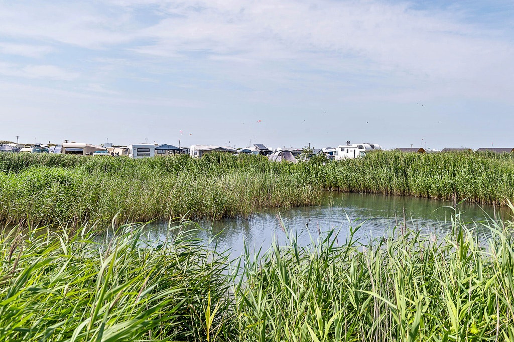 First Camp Lakolk Strand-rømø - Bild 16 First Camp Lakolk Strand-rømø - Bild 16