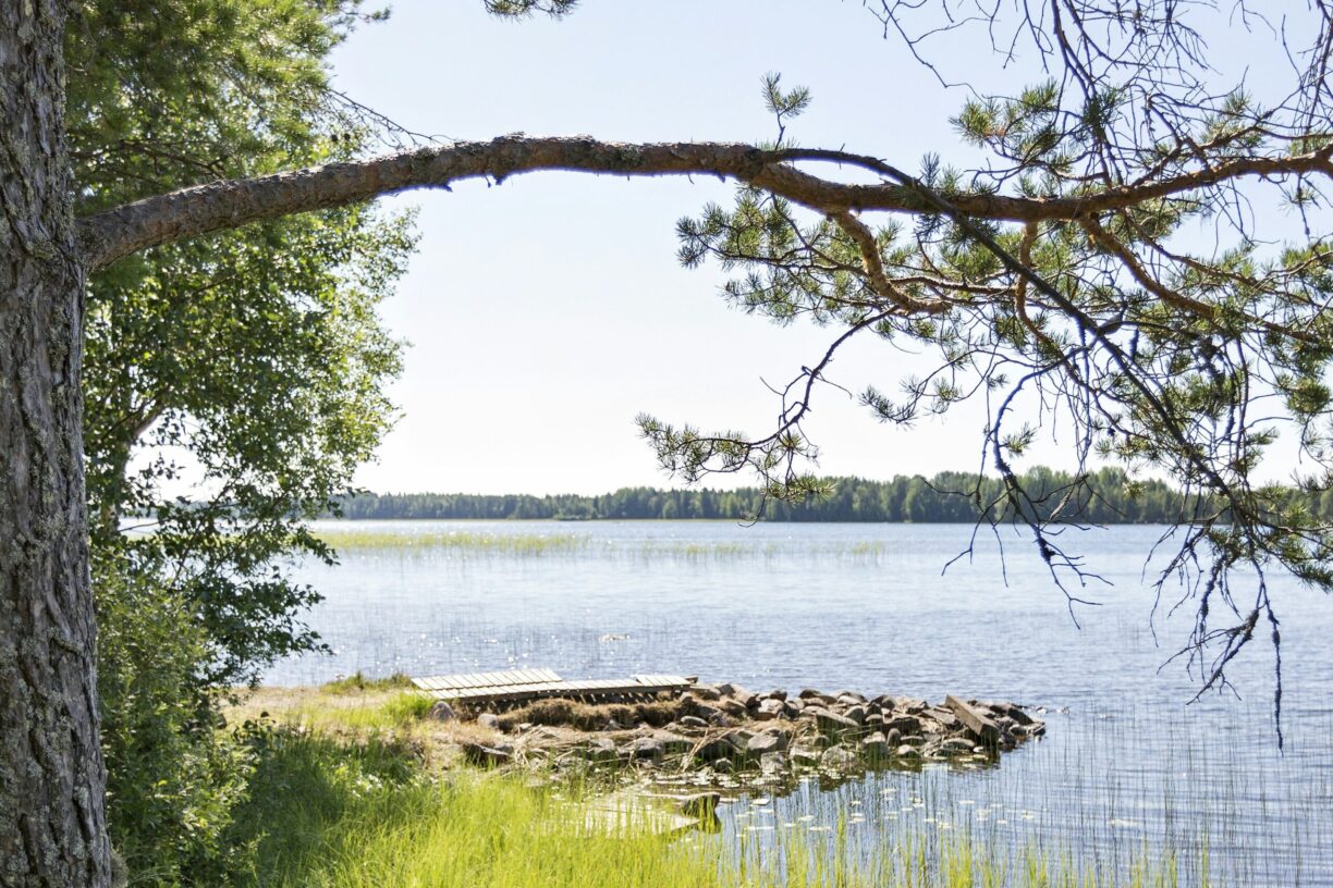 First Camp Nydala-umeå - Bild 6 First Camp Nydala-umeå - Bild 6