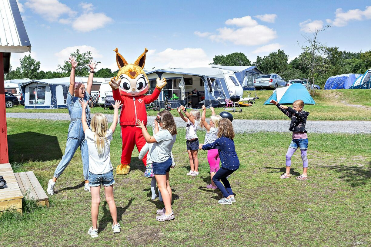 First Camp Röstånga-söderåsen - Bild 8 First Camp Röstånga-söderåsen - Bild 8