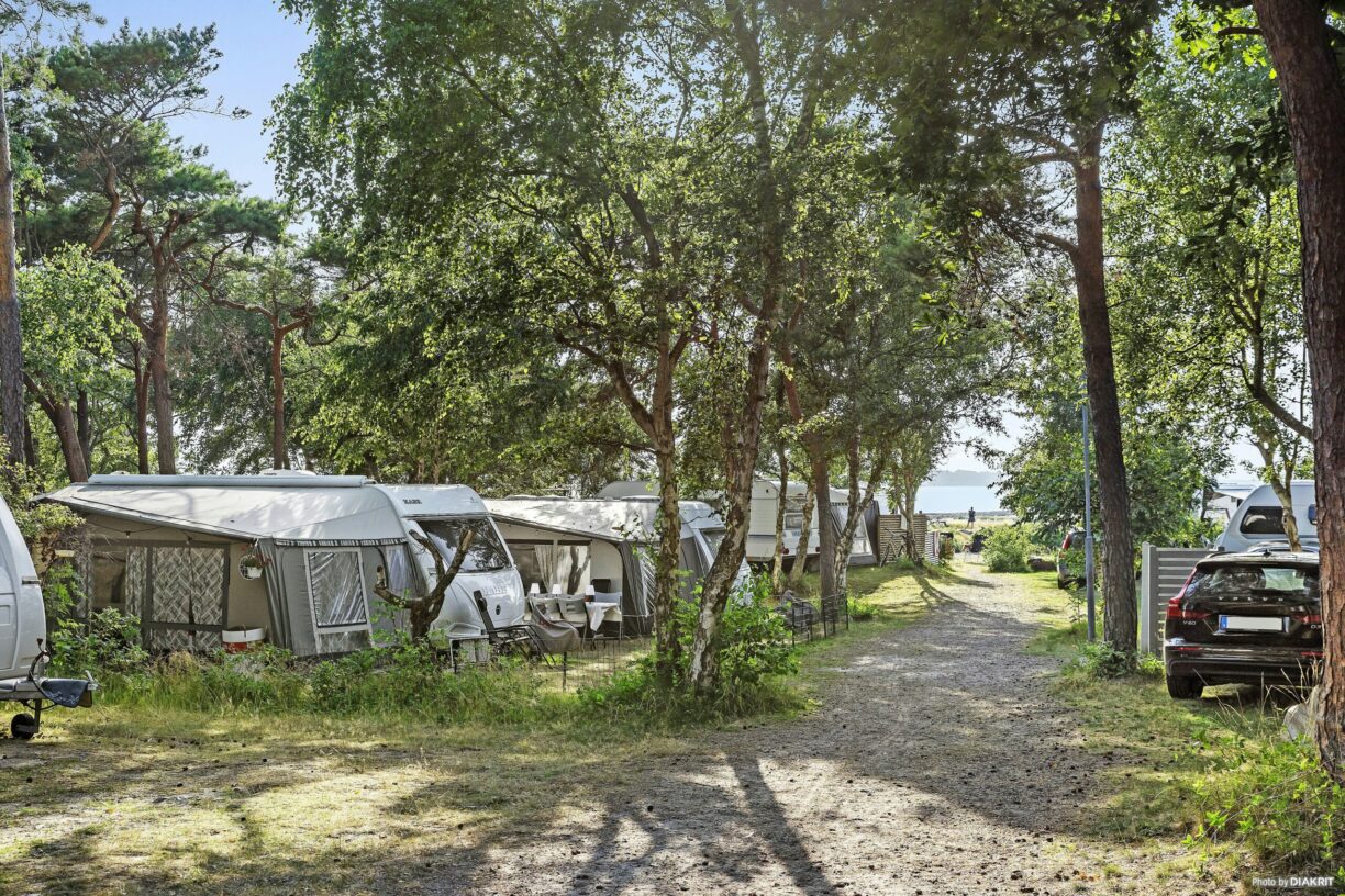 First Camp Torekov-båstad - Bild 12 First Camp Torekov-båstad - Bild 12