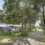 First Camp Torekov-båstad - Bild 12 First Camp Torekov-båstad - Bild 12