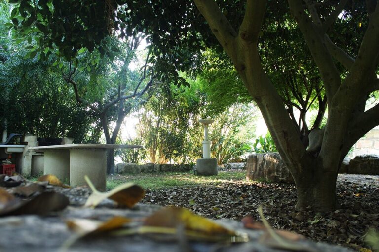 Flintstones Park - Bild 17