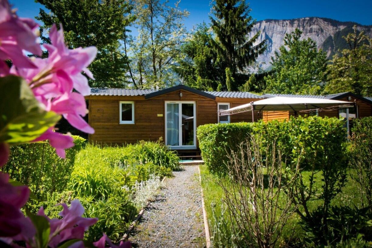 Flower Camping A La Rencontre Du Soleil - Bild 7 Flower Camping A La Rencontre Du Soleil - Bild 7