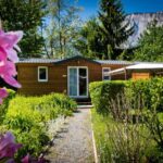 Flower Camping A La Rencontre Du Soleil - Bild 7 Flower Camping A La Rencontre Du Soleil - Bild 7