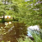 Flower Camping Beauchene - Bild 2 Flower Camping Beauchene - Bild 2