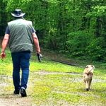 Flower Camping Du Lac De La Seigneurie - Bild 11