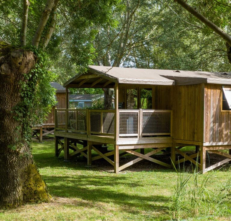 Flower Camping Du Port Caroline - Bild 2