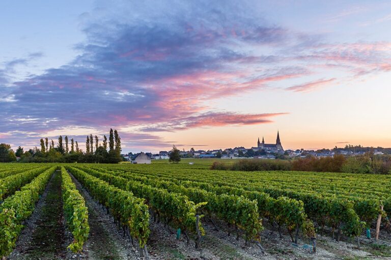 Flower Camping Île D'offard - Bild 6