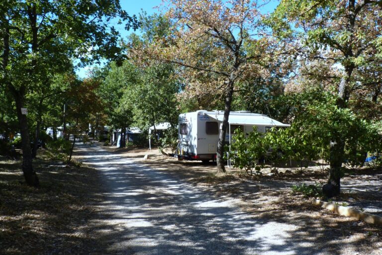 Flower Camping Jas Du Moine - Bild 4 Flower Camping Jas Du Moine - Bild 4