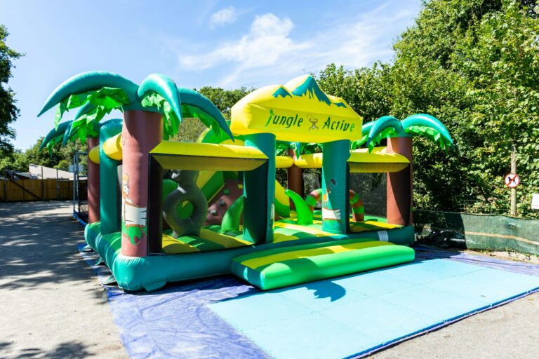 Flower Camping La Blanche Hermine - Bild 8 Flower Camping La Blanche Hermine - Bild 8