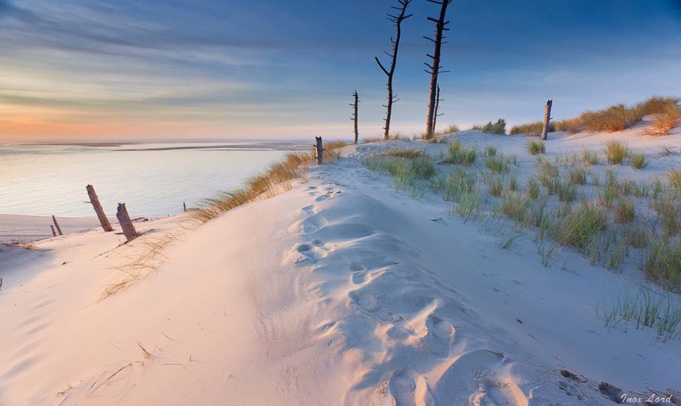 Flower Camping La Canadienne - Bild 3 Flower Camping La Canadienne - Bild 3