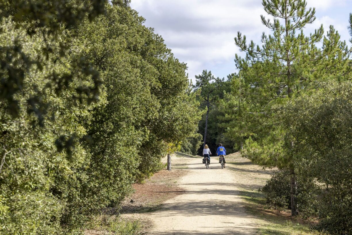 Flower Camping La Davière Plage - Bild 2 Flower Camping La Davière Plage - Bild 2