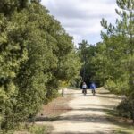 Flower Camping La Davière Plage - Bild 2 Flower Camping La Davière Plage - Bild 2