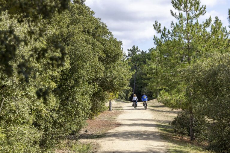 Flower Camping La Davière Plage - Bild 2 Flower Camping La Davière Plage - Bild 2