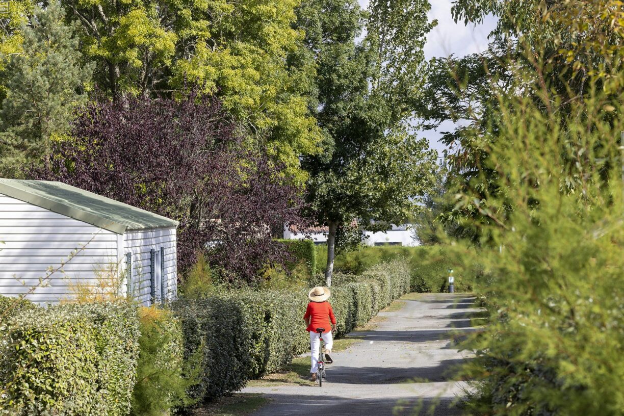 Flower Camping La Davière Plage - Bild 8 Flower Camping La Davière Plage - Bild 8