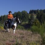 Flower Camping La Plage - Bild 4