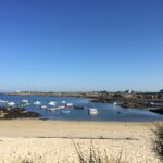 Flower Camping La Pointe Du Talud - Bild 2