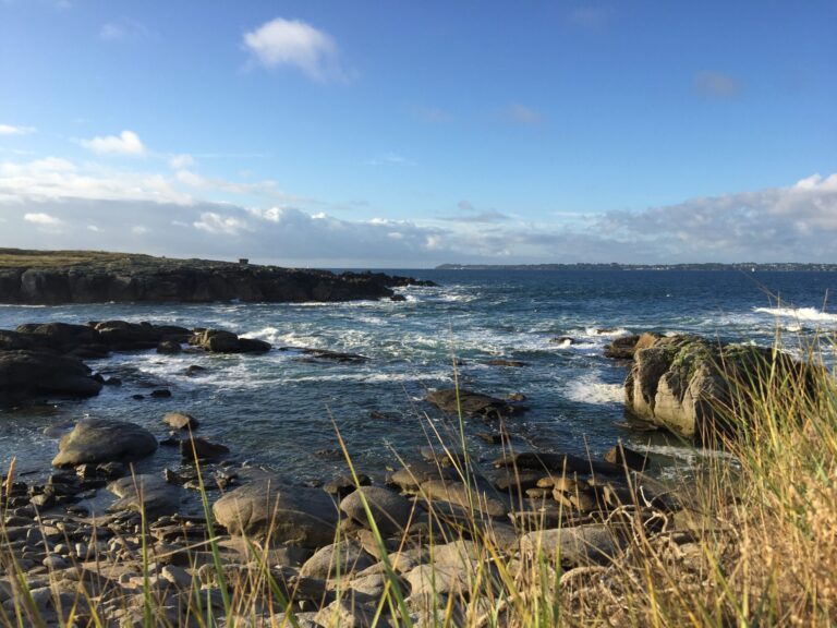 Flower Camping La Pointe Du Talud - Bild 3