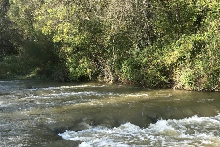 Flower Camping La Riviere - Bild 14 Flower Camping La Riviere - Bild 14