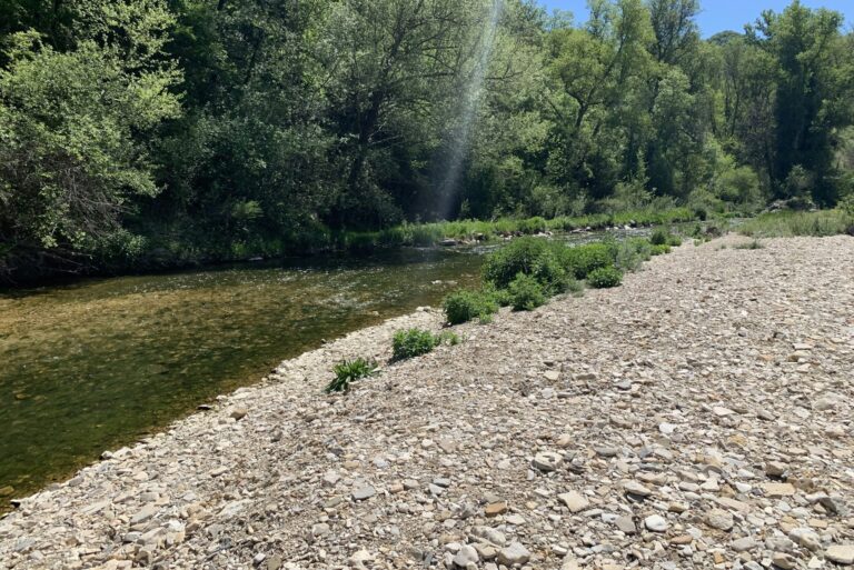 Flower Camping La Riviere - Bild 16 Flower Camping La Riviere - Bild 16