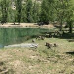 Flower Camping La Riviere - Bild 4 Flower Camping La Riviere - Bild 4