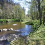 Flower Camping La Rochelambert - Bild 11 Flower Camping La Rochelambert - Bild 11