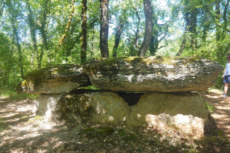 Flower Camping Lac Aux Oiseaux - Bild 11