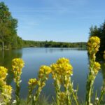 Flower Camping Lac Aux Oiseaux - Bild 1