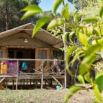 Flower Camping Le Bel Air - Bild 2